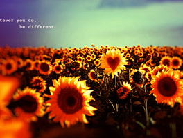 服务器攻击方式